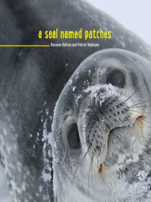 cover image of A Seal Named Patches